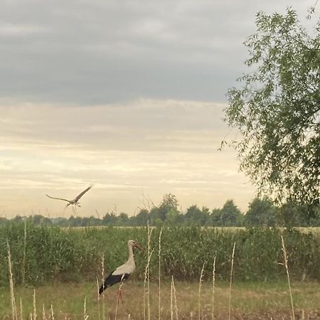 Ferienwohnung Fuchsberge Letschin Bagian luar foto