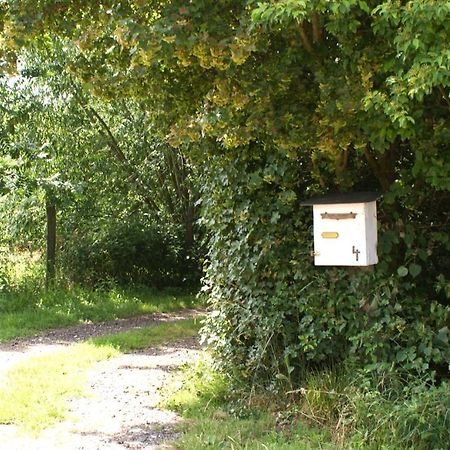 Ferienwohnung Fuchsberge Letschin Bagian luar foto
