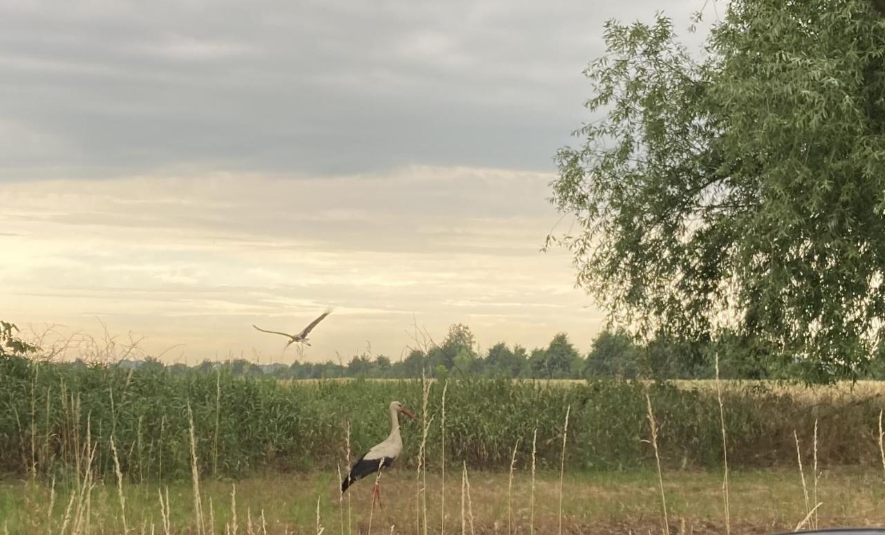 Ferienwohnung Fuchsberge Letschin Bagian luar foto