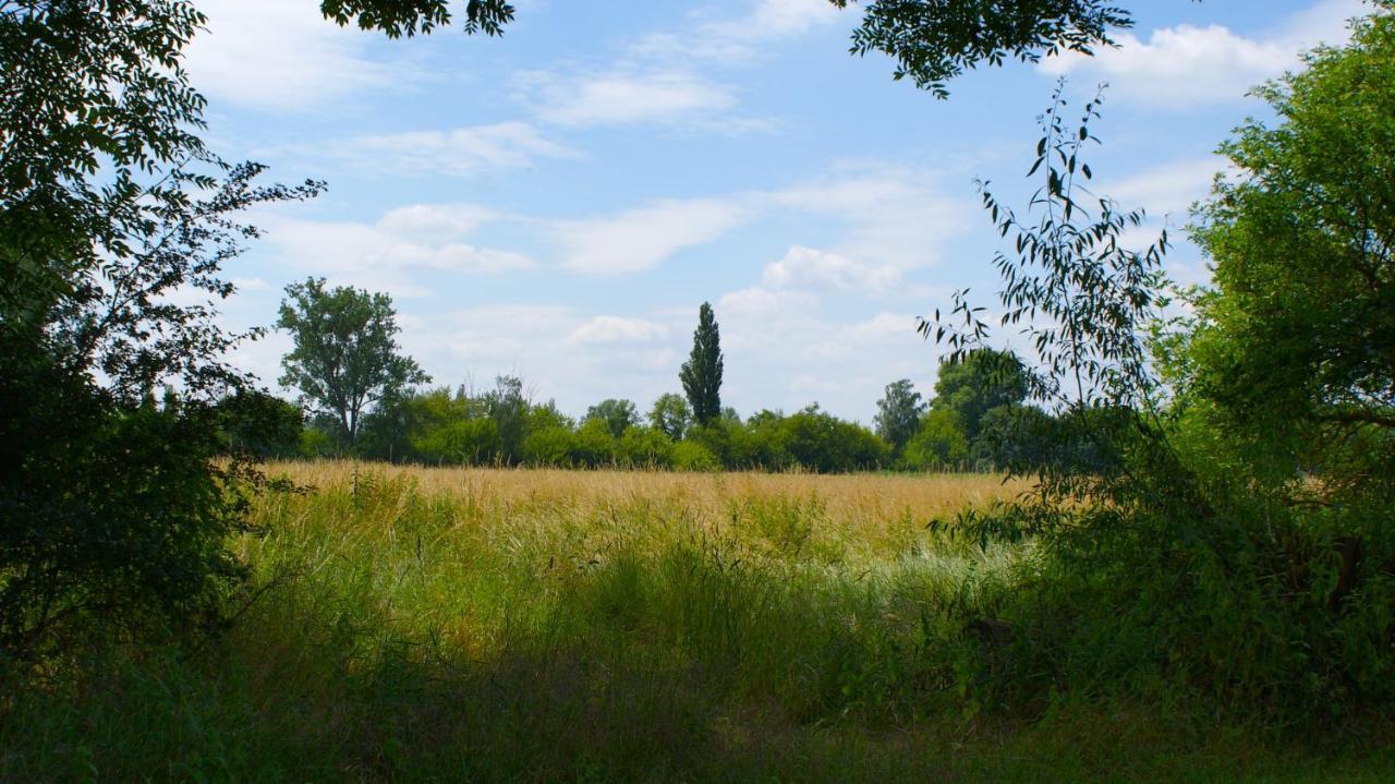 Ferienwohnung Fuchsberge Letschin Bagian luar foto