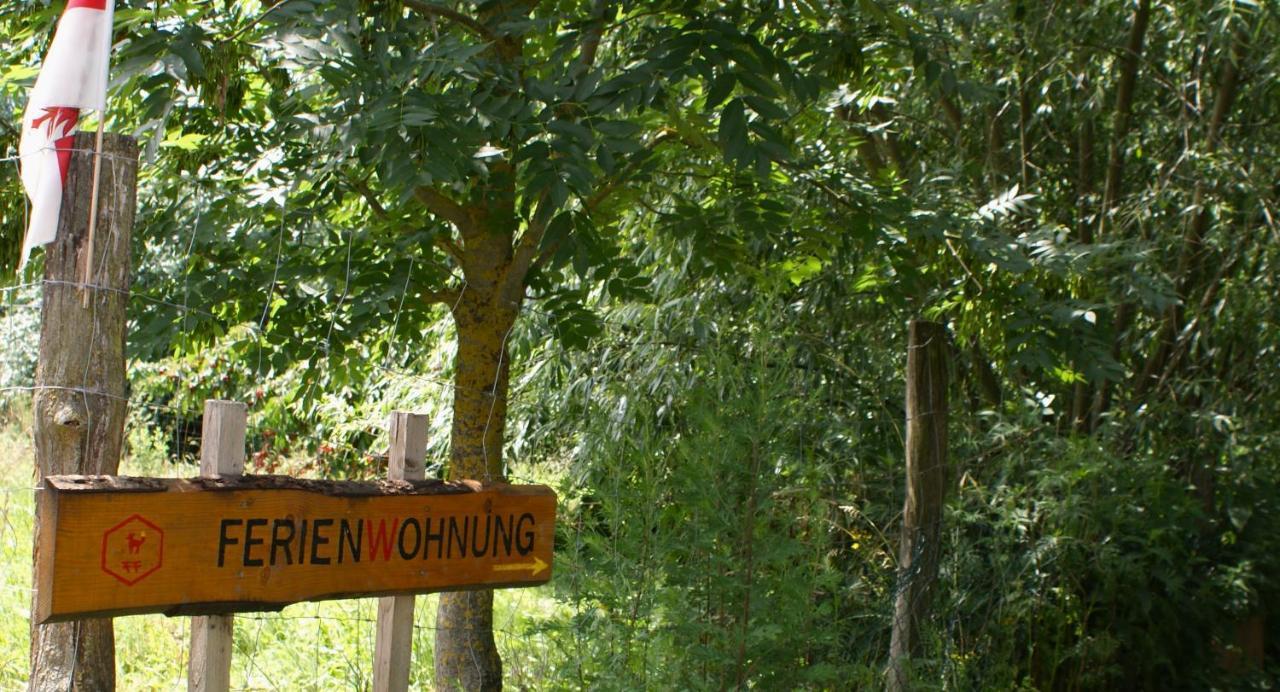 Ferienwohnung Fuchsberge Letschin Bagian luar foto
