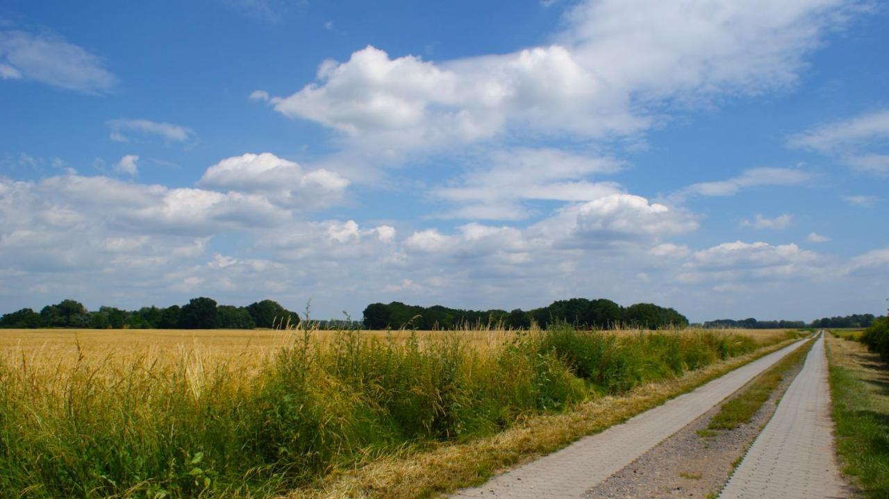 Ferienwohnung Fuchsberge Letschin Bagian luar foto