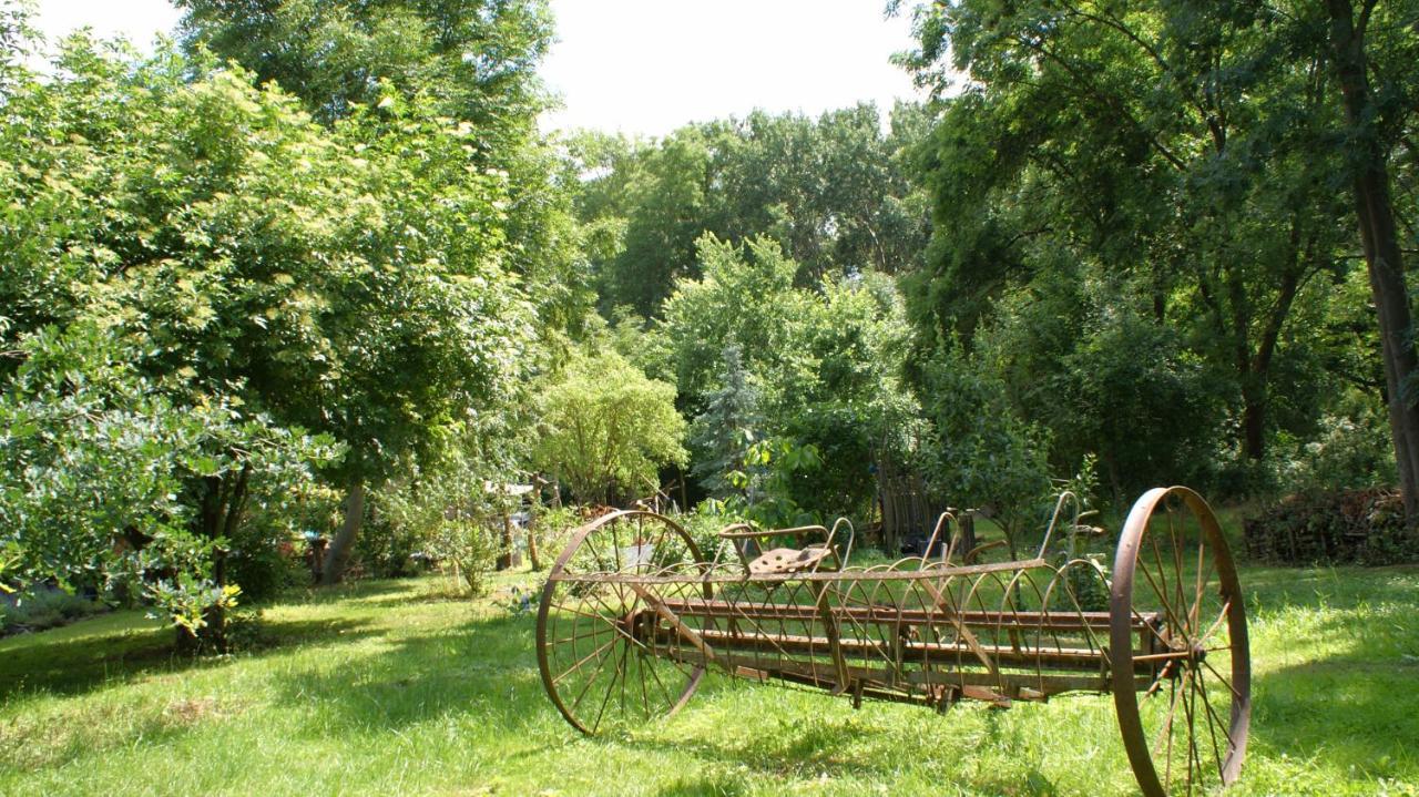Ferienwohnung Fuchsberge Letschin Bagian luar foto